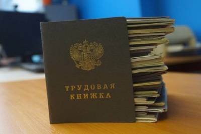 Россияне смогут включить в электронные трудовые книжки записи о стаже