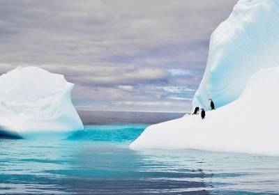 Гигантский айсберг приближается к британской территории