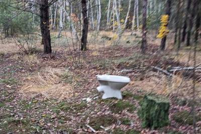 В Киеве в глубокой лесной чаще обнаружили унитаз