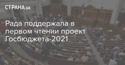 Рада поддержала в первом чтении проект Госбюджета-2021