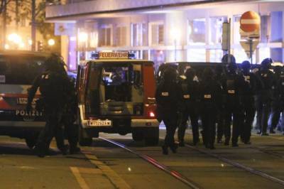 Теракт в Вене: Среди задержанных подозреваемых есть граждане России