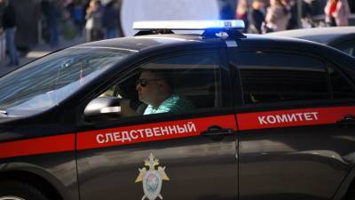 СК начал проверку после въезда автомобиля в остановку в центре Москвы