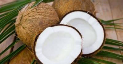 На Бали студентам разрешили платить за учебу кокосами
