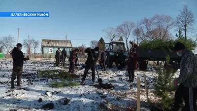 В деревне Башкирии посадили более 100 деревьев в память о погибших солдатах