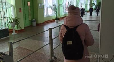 Московских школьников оставили учиться дома, а у чувашских заканчиваются каникулы