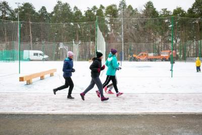 В Екатеринбурге студентов попросят патрулировать парк, из которого воруют газон