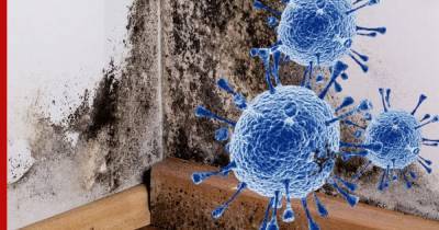 Джонс Хопкинс - Домашнюю плесень назвали смертельно опасной при коронавирусе - profile.ru - США - Барселона
