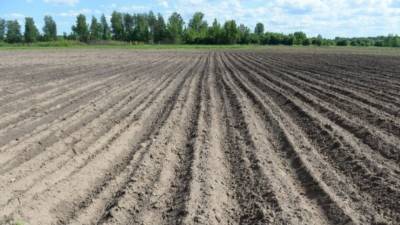 Россия поможет Молдавии развивать фермерское хозяйство