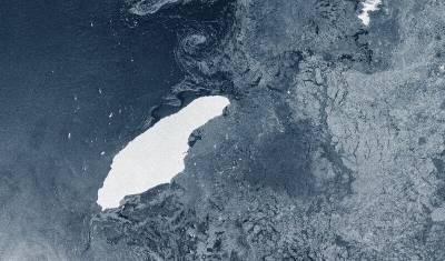 Размером с Кипр: самый большой в мире айсберг угрожает острову в Атлантике