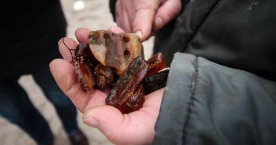 В Зеленоградском и Светлогорском районах поймали две группы нелегальных добытчиков янтаря (видео)