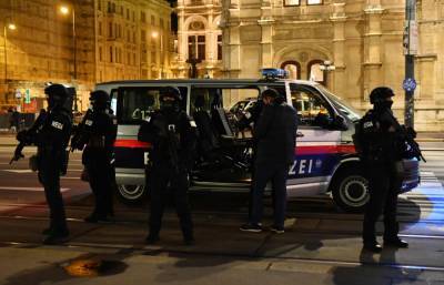 В Австрии заявили, что восемь задержанных по делу о теракте в Вене уже были судимы