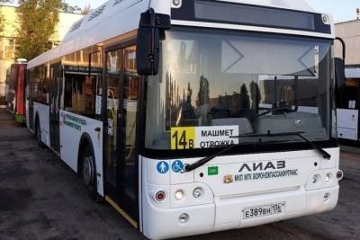 В Воронеж прибыли первые низкопольные автобусы из Подмосковья