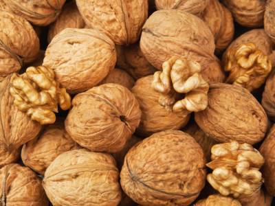 Медики назвали орехи для профилактики болезней сердца