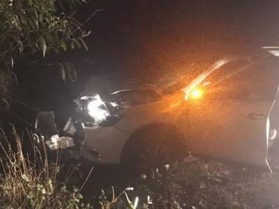 На Львовщине Nissan въехал в дерево: водитель погиб