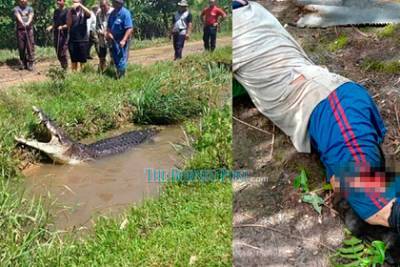 Мужчина ткнул крокодила в глаз и освободился из его пасти