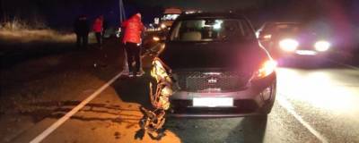 На трассе в Оренбургской области в аварии погибли два человека