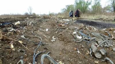 Жителей села под Воронежем оштрафуют за проложенную из мусора дорогу