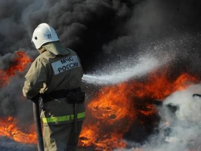 Более 80 пожарных тушат полыхающую «заброшку» в центре Петербурга