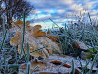 Погода на 6 ноября: в Украине будет прохладно и без осадков, ночью - заморозки