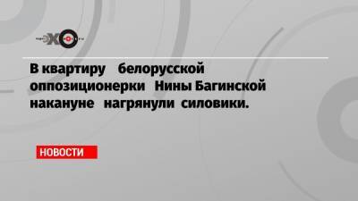 В квартиру белорусской оппозиционерки Нины Багинской накануне нагрянули силовики.