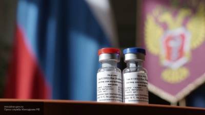Буэнос-Айрес обсудит с Москвой покупку вакцины от коронавируса "Спутник V"