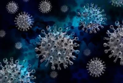 Эпидемиолог Роспотребнадзора рассказал, как быстро мутирует коронавирус