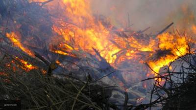 Пять детей и двое взрослых погибли при пожаре в Смоленской области