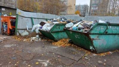 «Мусорную реформу» хотят подкорректировать и привязать к объему отходов