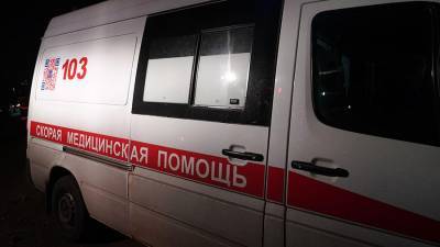 Пятеро детей и двое взрослых погибли при пожаре под Смоленском
