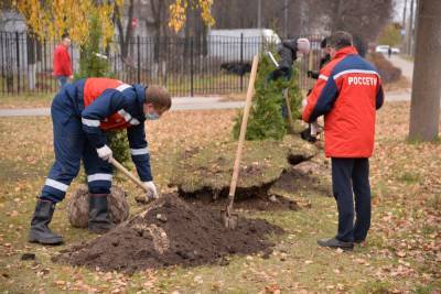 Сотрудники «Нижновэнерго» посадили хвойные деревья в Дзержинске