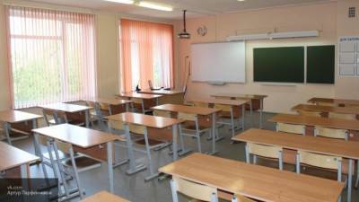 Школьникам Петербурга предложат смешанную форму обучения