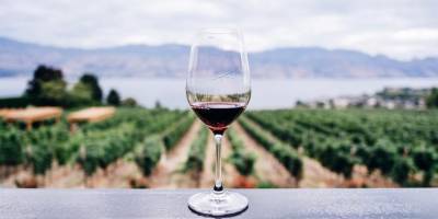 Так ли полезно красное вино для сердца и сосудов, как мы думаем?