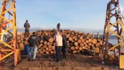 В Братске перехватили баржу с дровами, украденными у школы
