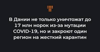 В Дании не только уничтожат до 17 млн норок из-за мутации COVID-19, но и закроют один регион на жесткий карантин