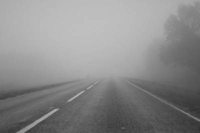 На дорогах Краснодарского края ожидается сильный туман