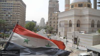 Власти Сирии ведут активное сотрудничество с представителями ОЗХО