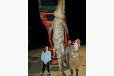 Рыболов убил годами охотившегося на него четырехметрового аллигатора