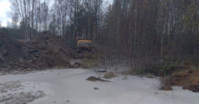 Причиной разлива цемента в лесу в Ленобласти стала авария