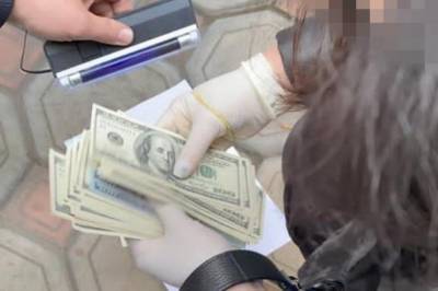 В Одессе задержали женщину, которая за 60 тыс. долларов хотела помочь "оформить назначение" в Минобороны