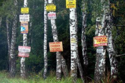 В Ярославской области с деревьев сняли 500 рекламных табличек