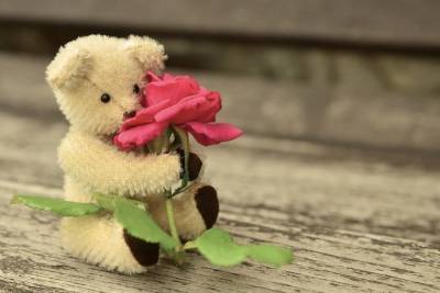 Романтичный великолучанин украл из цветочного магазина мягкую игрушку