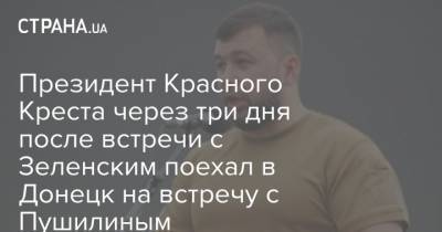 Президент Красного Креста через три дня после встречи с Зеленским поехал в Донецк на встречу с Пушилиным