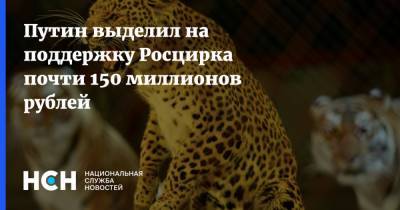 Путин выделил на поддержку Росцирка почти 150 миллионов рублей