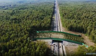 В России, наконец, разработан стандарт по строительству экодуков