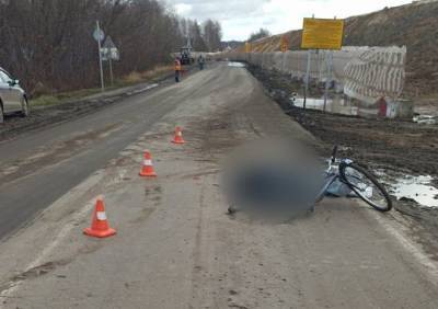 В Ряжском районе грузовик насмерть сбил велосипедиста