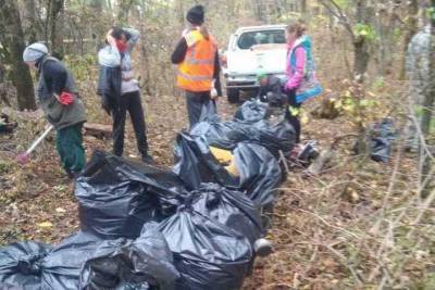 Кубометры мусора вывезли из леса в Ставрополе