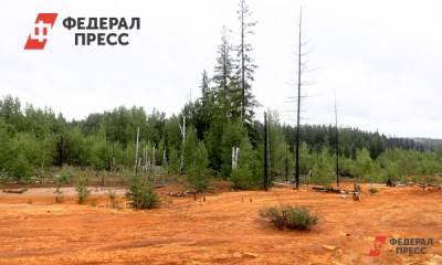 Утечку мазута в Нижегородской области допустила «РЖД»