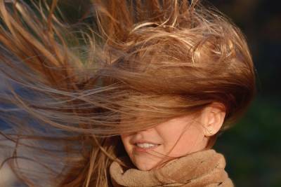 В Ленобласти 7 ноября ожидается сильный ветер