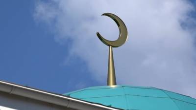 Теракт в Австрии: решение по мечетям принято