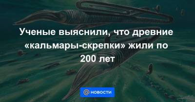Ученые выяснили, что древние «кальмары-скрепки» жили по 200 лет